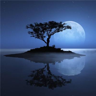 半岛综合体育APP